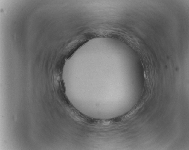 X0000072520235200607140945