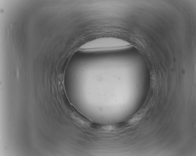 X0000072520237200607140945