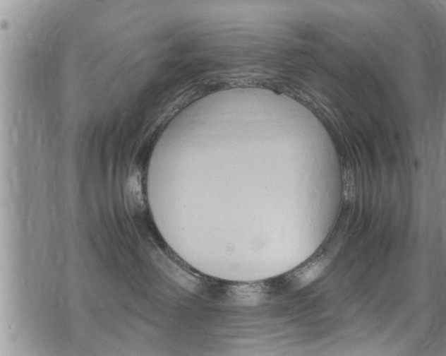 X0000072520238200607140945