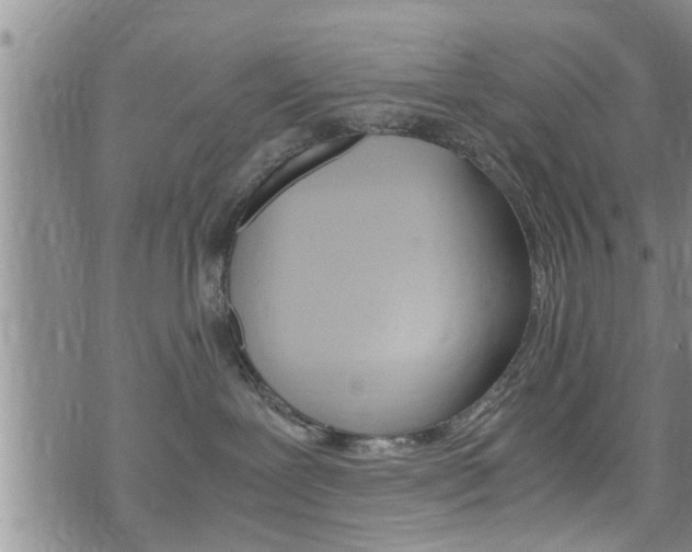 X0000072520239200607140945