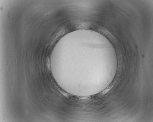 X0000072520240200607140945