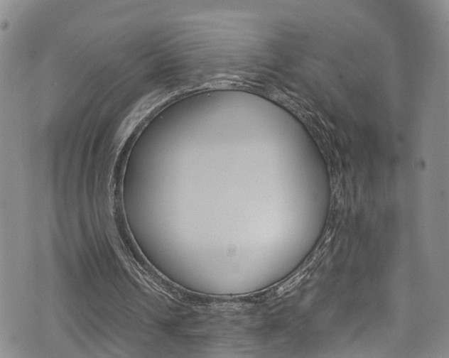 X0000072520242200607140944