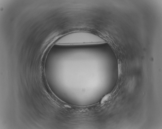 X0000072520243200607140944