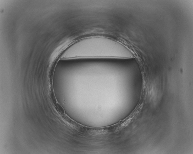 X0000072520245200607140944