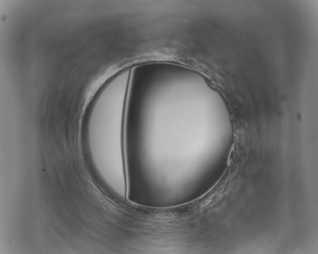 X0000072520248200607140944