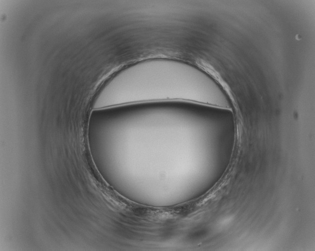 X0000072520249200607140944