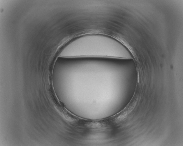 X0000072520253200607140944