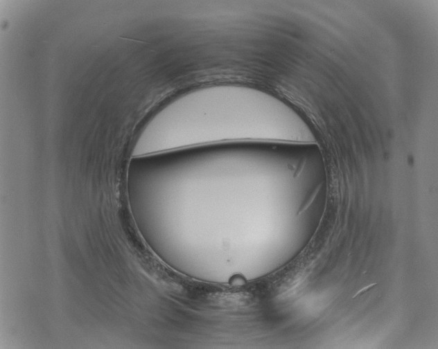 X0000072520255200607140944