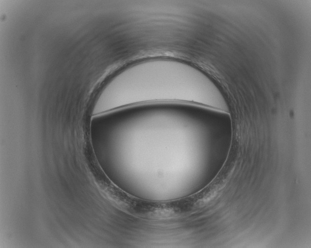 X0000072520256200607140944