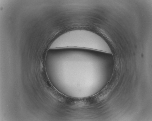 X0000072520259200607140944