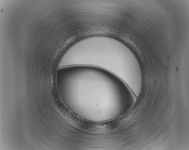 X0000072520260200607140944