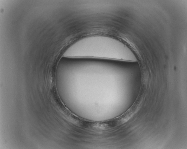 X0000072520261200607140944