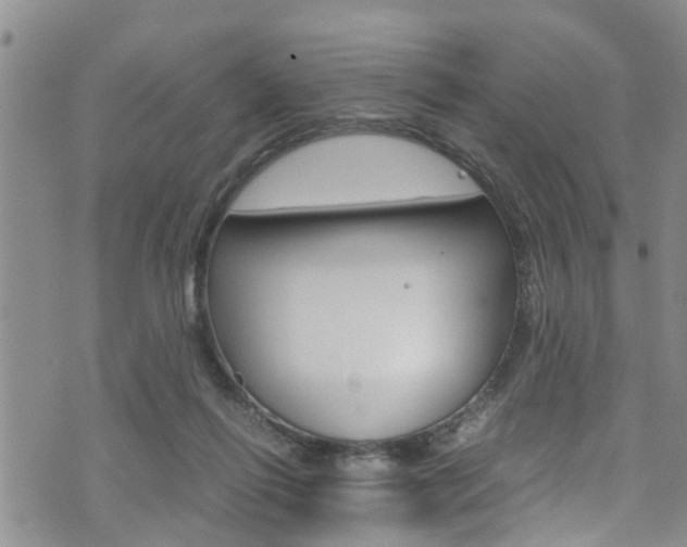 X0000072520262200607140944