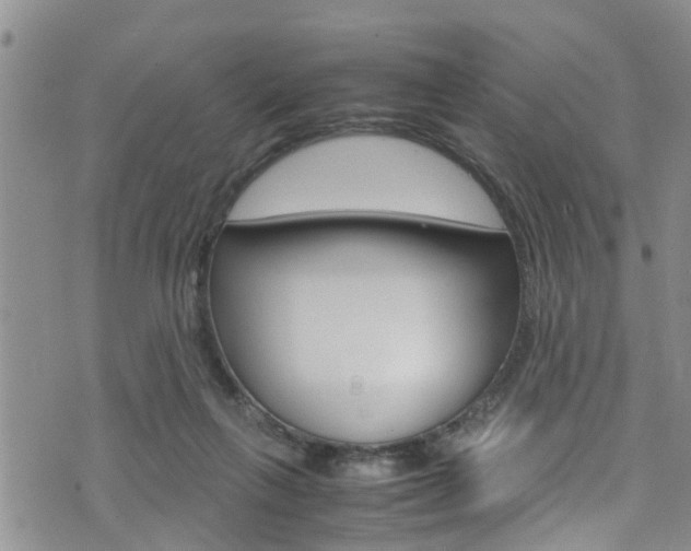 X0000072520263200607140944