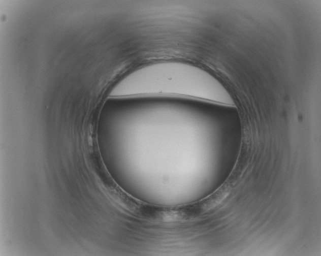 X0000072520264200607140944