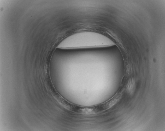 X0000072520265200607140945