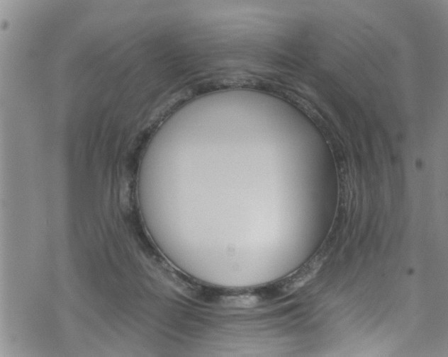 X0000072520266200607140945