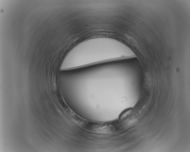 X0000072520267200607140945