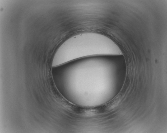 X0000072520268200607140945