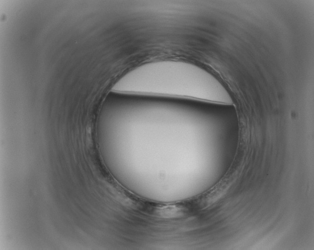 X0000072520269200607140945