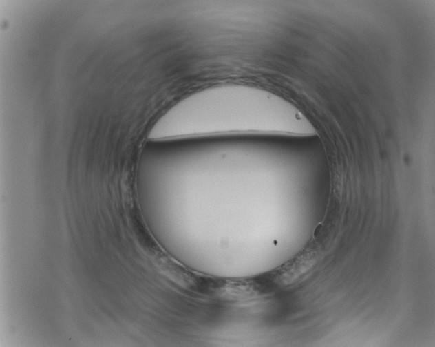 X0000072520270200607140945