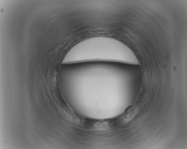 X0000072520271200607140945