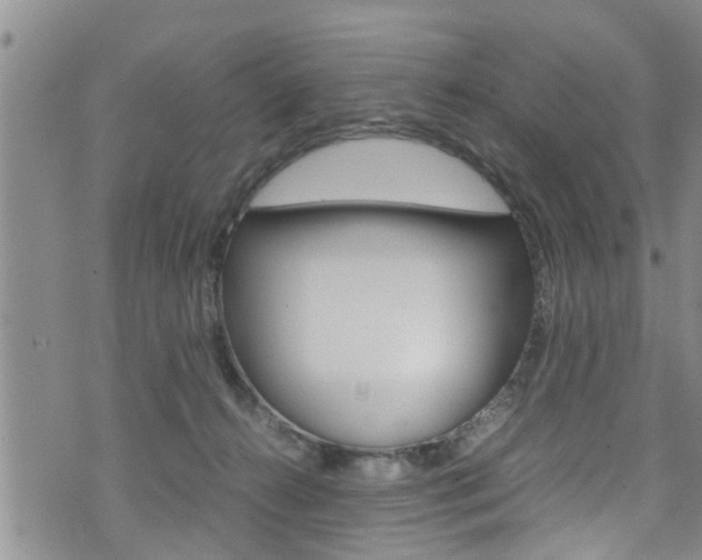 X0000072520272200607140945