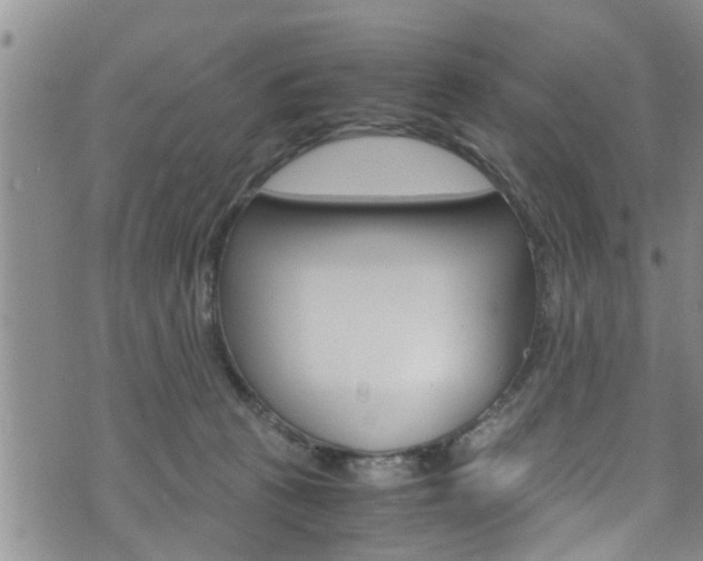 X0000072520273200607140945