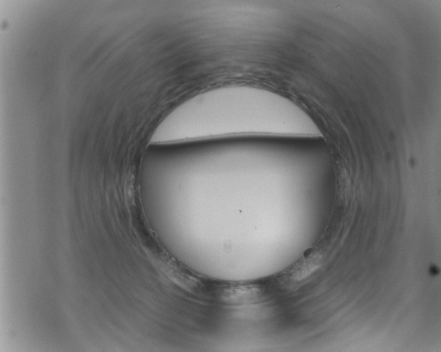 X0000072520274200607140945