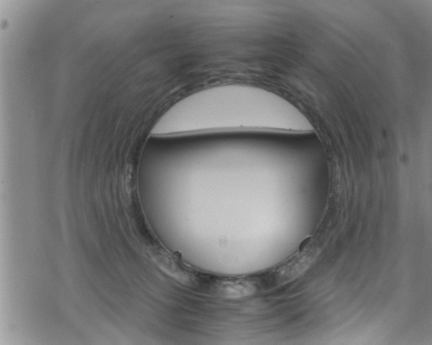 X0000072520275200607140945