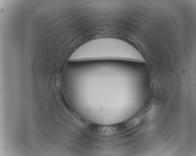 X0000072520277200607140945