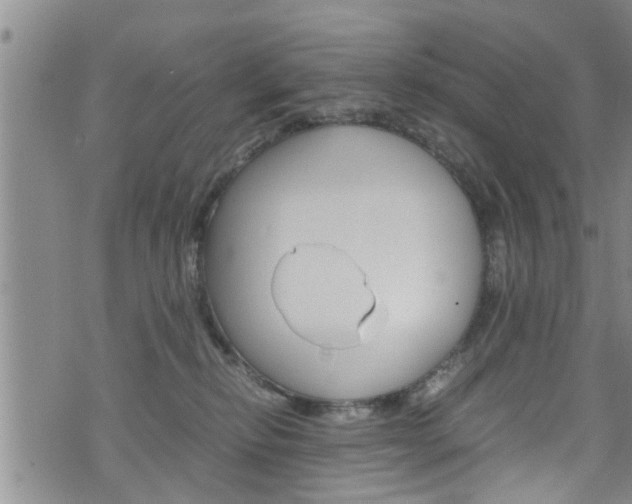 X0000072520278200607140945