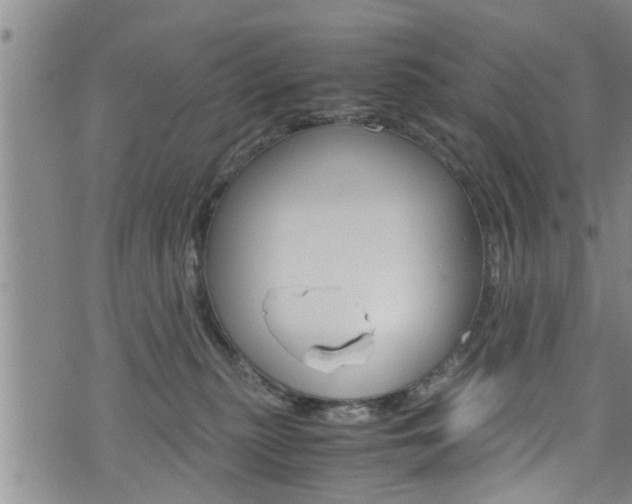 X0000072520279200607140945