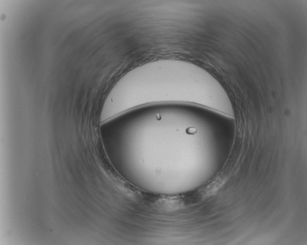 X0000072520280200607140945