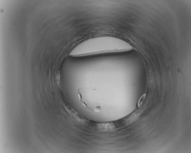 X0000072520281200607140945