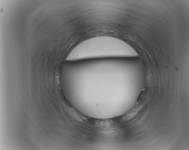 X0000072520282200607140945