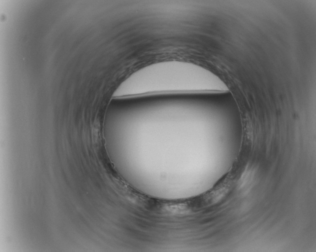 X0000072520283200607140945