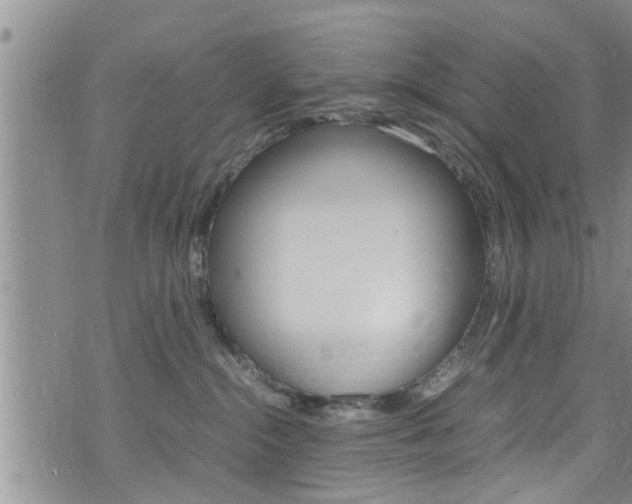 X0000072520284200607140945