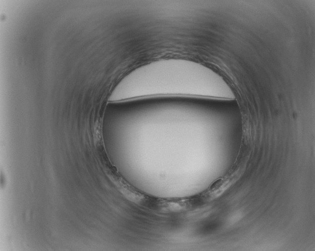 X0000072520285200607140945