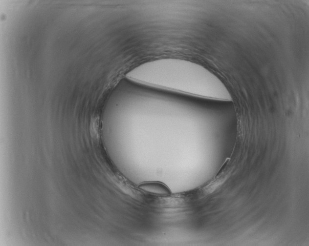 X0000072520286200607140945