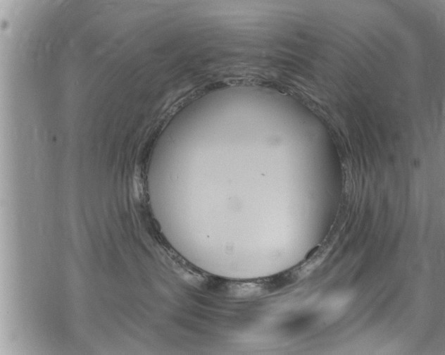 X0000072520287200607140945