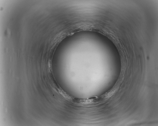 X0000072520288200607140945