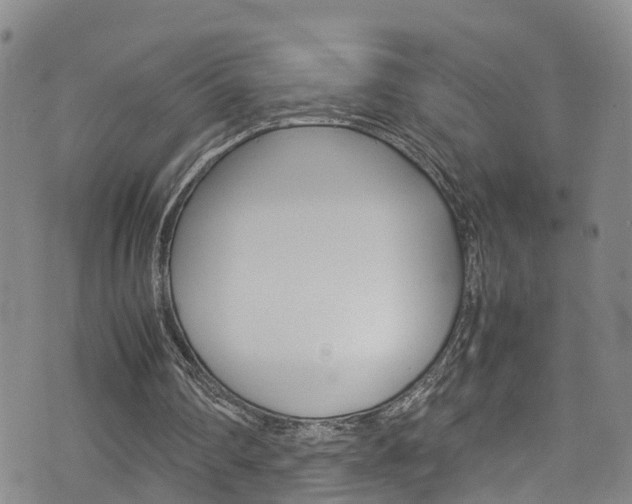 X0000072520290200607140944