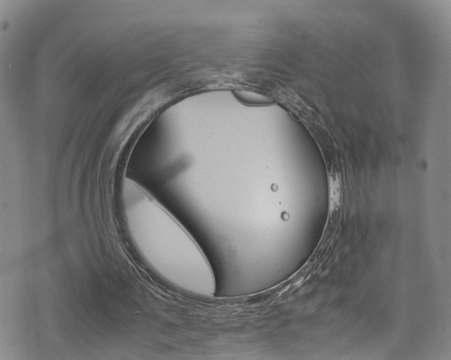 X0000072520291200607140944