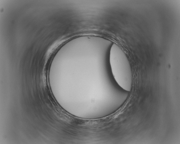 X0000072520294200607140944