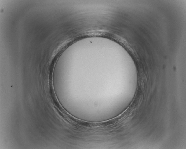 X0000072520299200607140944