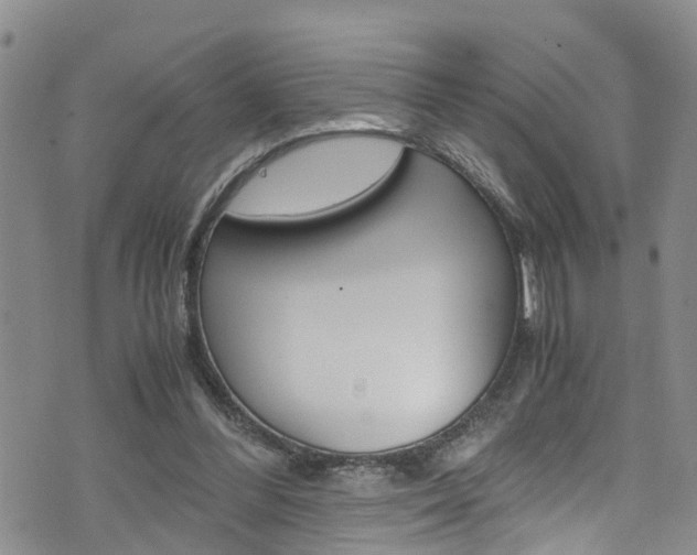 X0000072520300200607140944