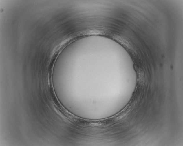 X0000072520302200607140944