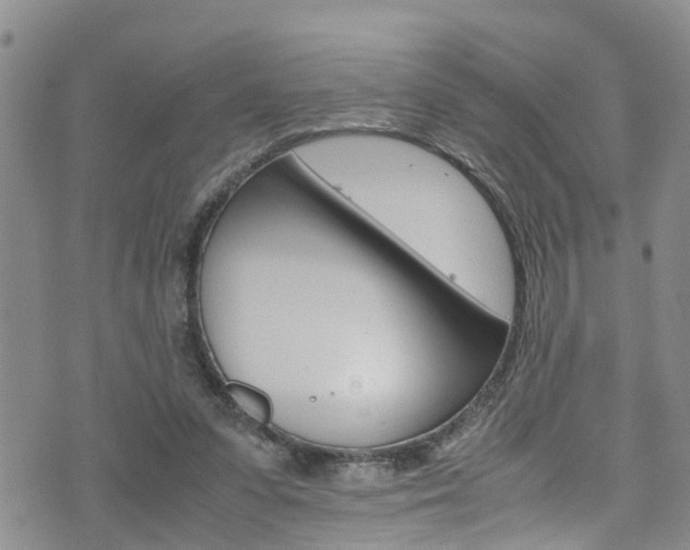 X0000072520303200607140944