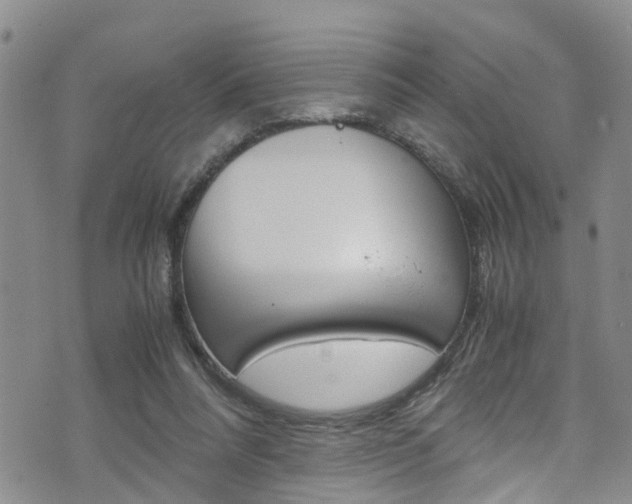 X0000072520304200607140944